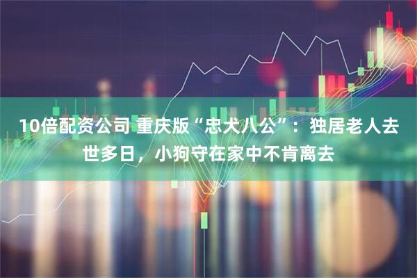 10倍配资公司 重庆版“忠犬八公”：独居老人去世多日，小狗守在家中不肯离去